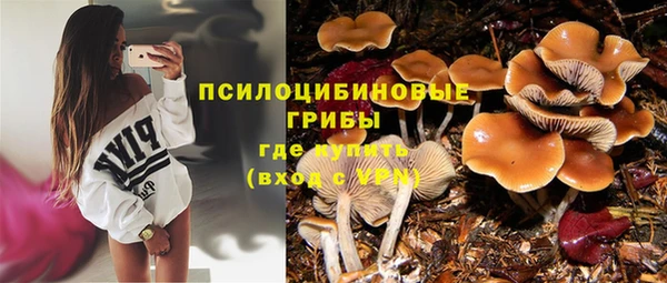дурь Алексин