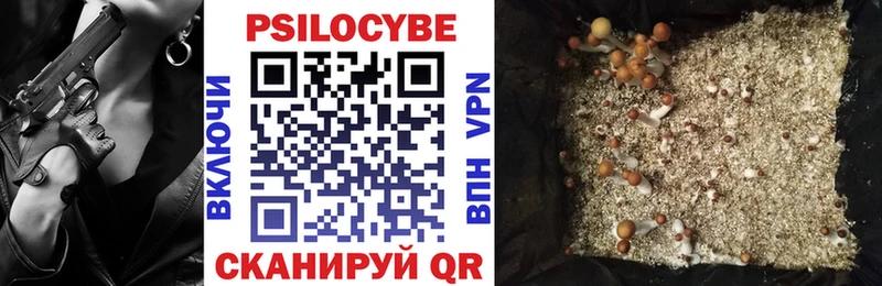 ОМГ ОМГ маркетплейс Арск Галлюциногенные грибы Psilocybe